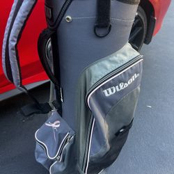 GOLF, women’s Right Hand Set, Irons, Two Metal Woods, GR88 Pink And Gray Bag, All For $129 And Includes The Putter