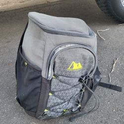 Cooler Backpack 