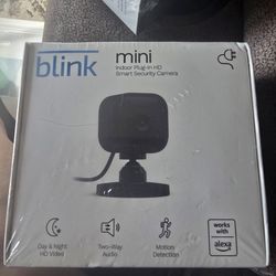 Blink cameras