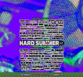 Hard summer GA+ wristband