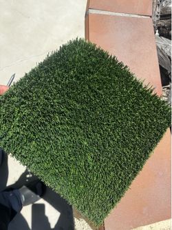 Turf— Artificial Grass