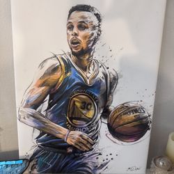 Steven Curry Canvas