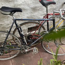 Vintage Nishiki Road Bikes Size 25” and 23”
