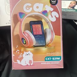 kids cat headset 