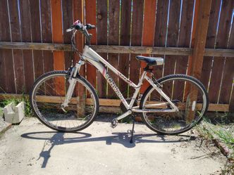 Schwinn Gtx1