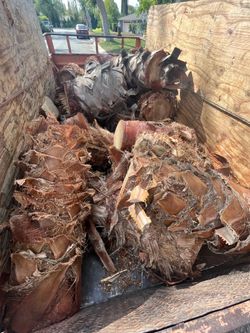 FREE PALM TREE TRUNKS BUENA PARK ANAHEIM CYPRESS