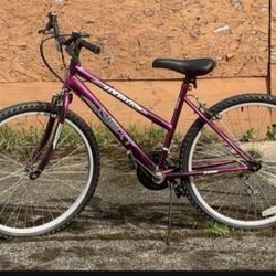 Next Elevation Mountain Bike (needs work)