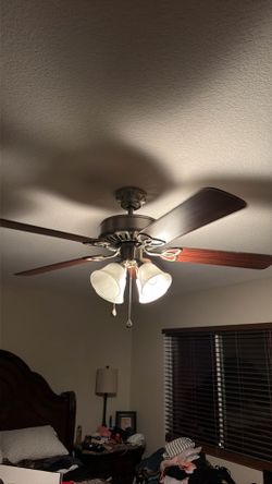 Ceiling fan