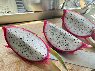 Organic Dragon Fruit Plant In Pot 