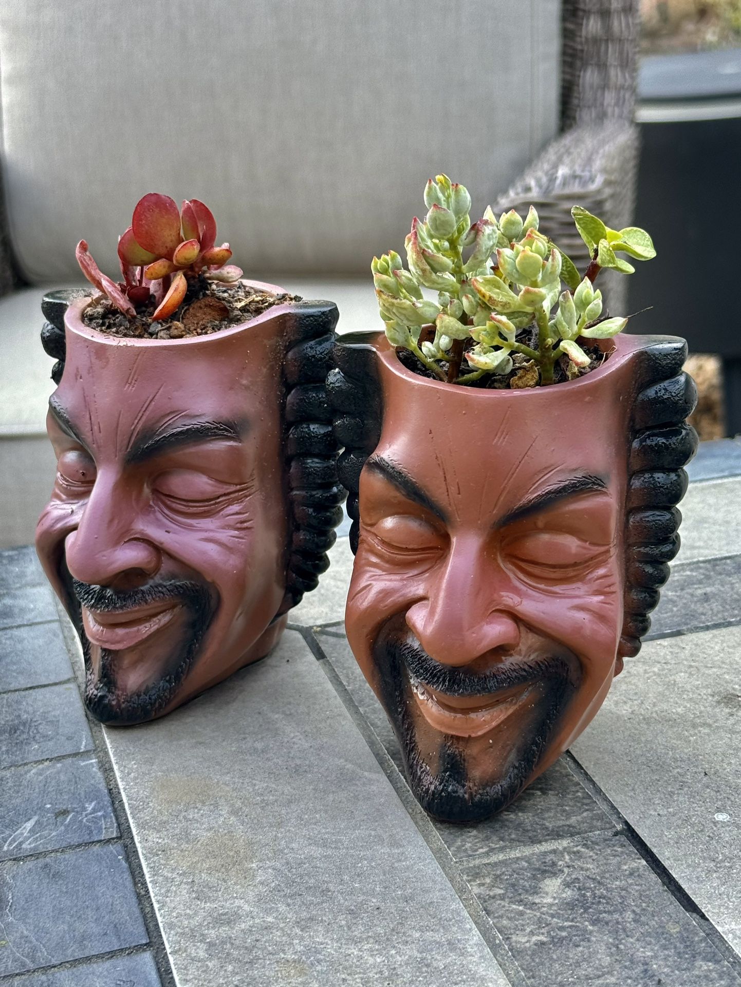 🔥 🔥 🔥 Snoop Dogg  Head Planter 🪴 W Succulents 