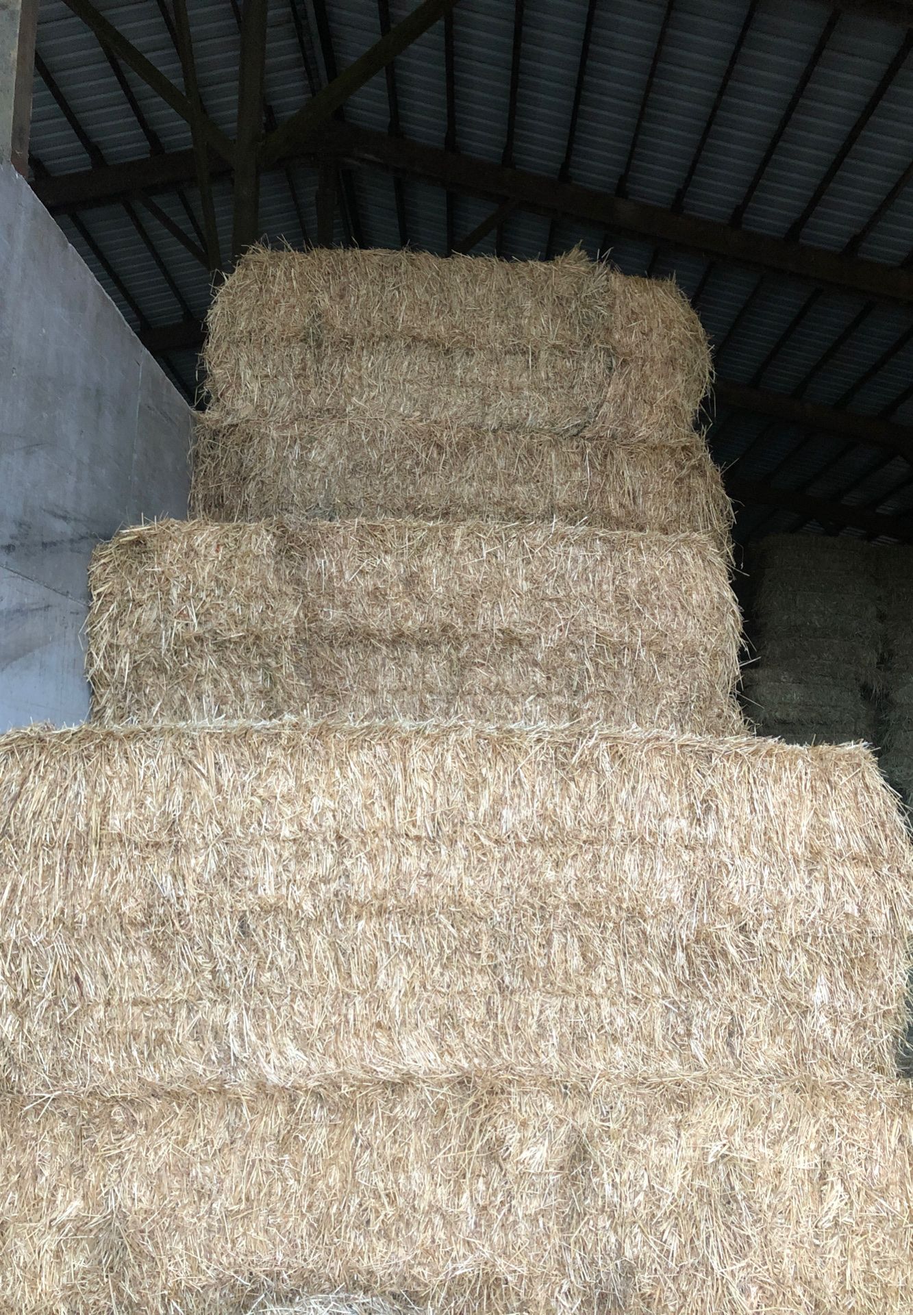 3x4x8 1st cutting grass hay