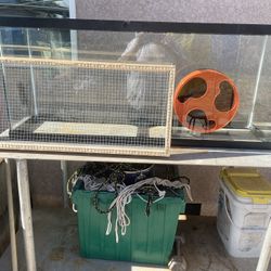 Fish Tank 