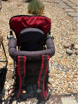 Chicco carrier