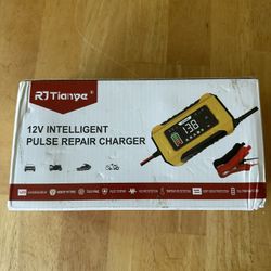 12V Intelligent Pulse Repair Charger – NEW