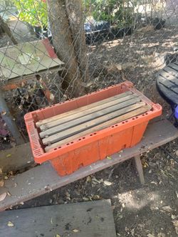 Bee nuc box w/5frames
