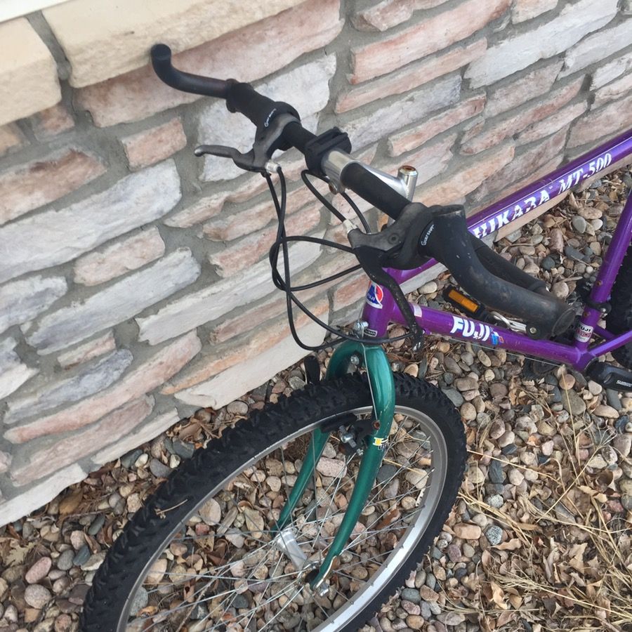 Fuji Mtn bike