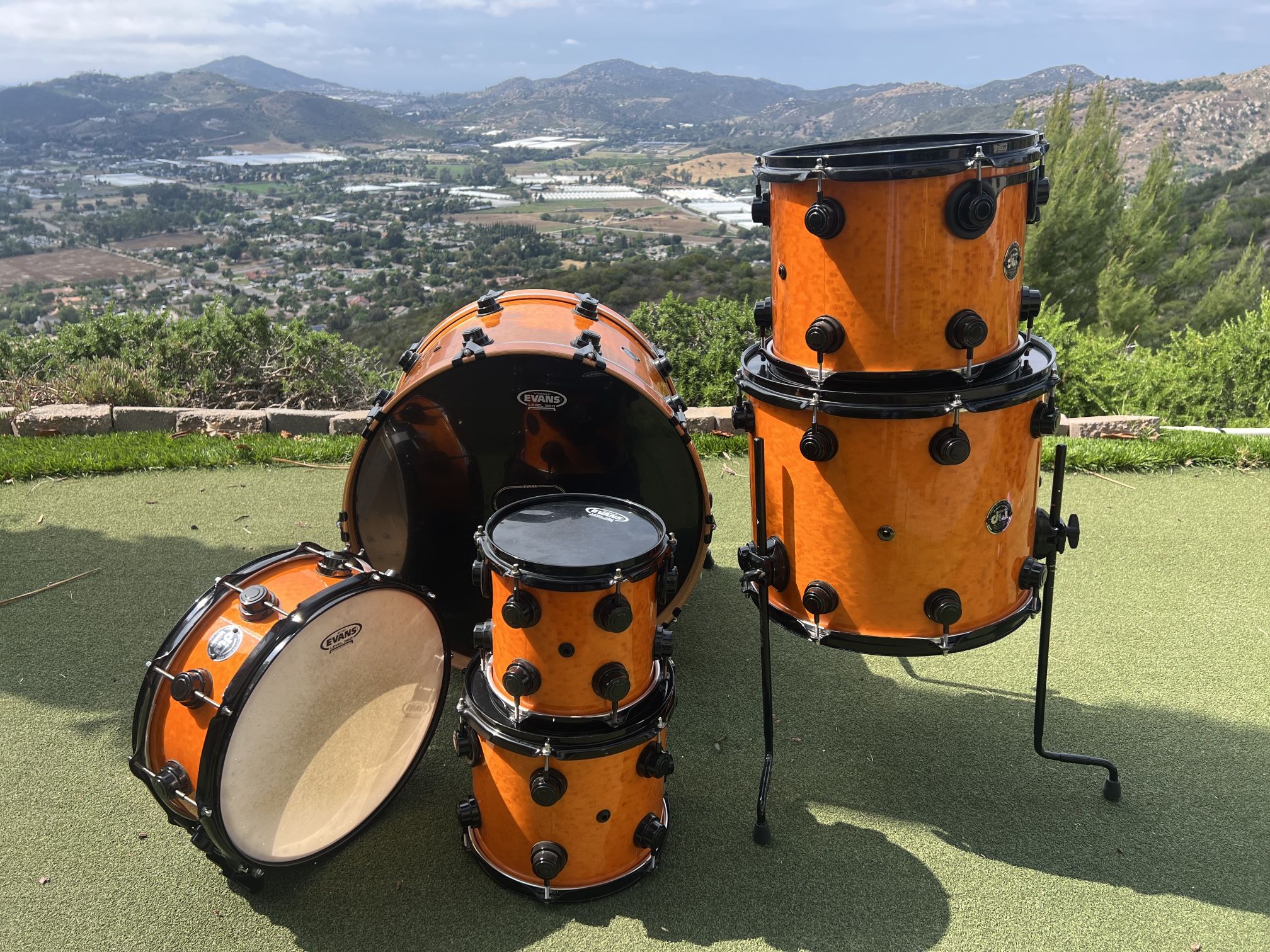 DW Drum set, Drums