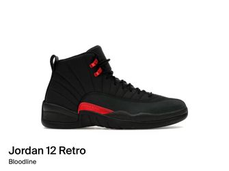 Nike Air Jordan 12 Retro CT8013 003 Size 9.5