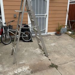 6ft Ladder 