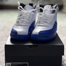 Jordan 12s Retro (blueberry)