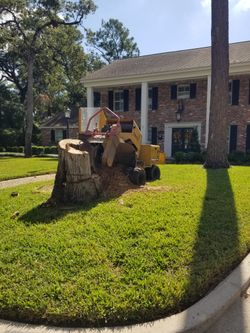 Stump grinding Stump grinding