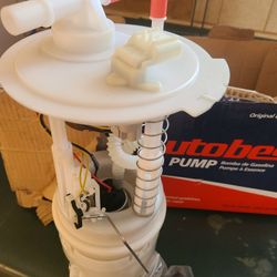 Fuel Pump New 