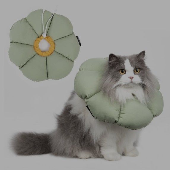 Cat Cone Collar,Cute Waterproof Cat Recovery Collar,Anti-Bite Lick Wound Healing Safety Elizabethan E Collar For Cats,Green Flower All-Season Style
