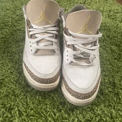 Jordan 3s