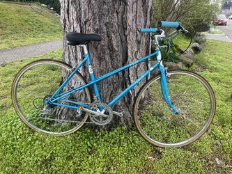 Fuji Bike Cruiser