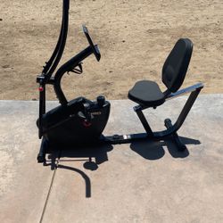 Dual Action Recumbent Bike 