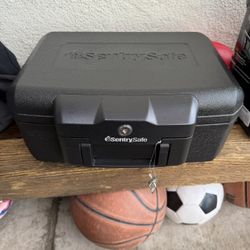 SentrySafe 1200 Fire-Resistant Box with Key Lock and Carrying Hand