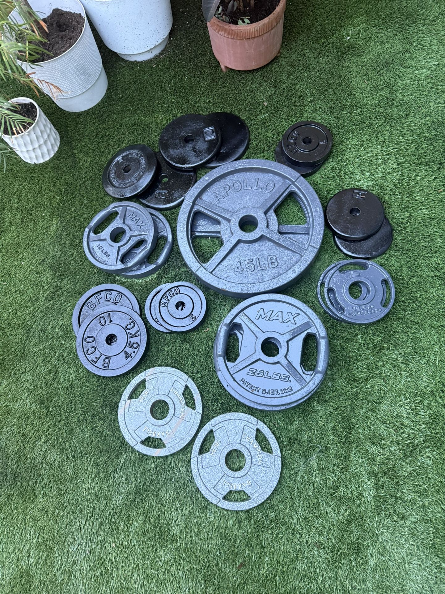 Olympic And Standard Weights