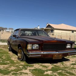 1979 Monte Carlo’s 