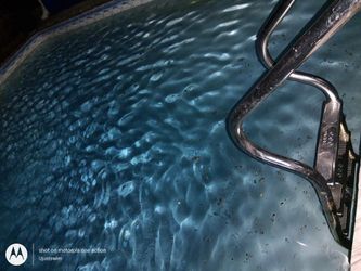 Swimming Pool Openings