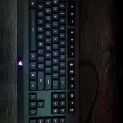 Razer Gaming Keyboard 
