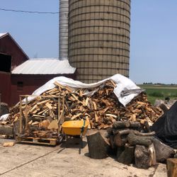 Firewood 