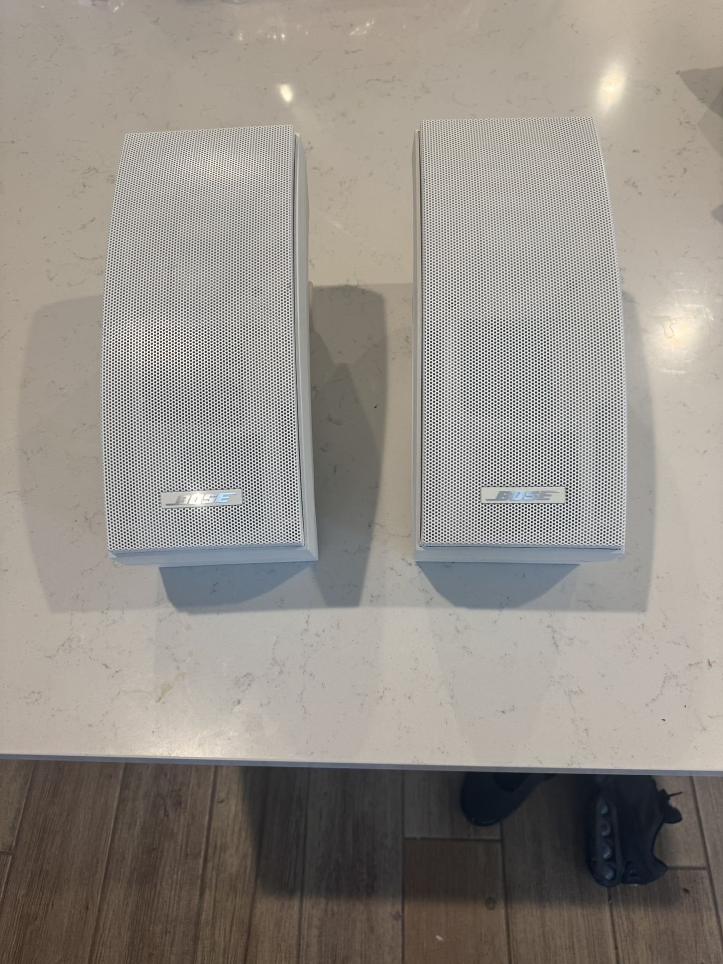 BOSE Environmental 251 Outdoor Speakers.