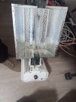 Gavita pro 1000e growlight