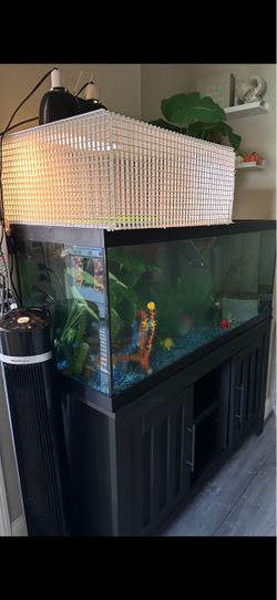 Fish tanks