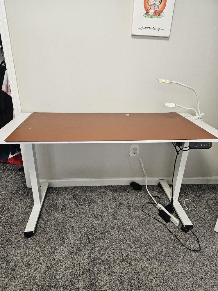 Electric High Adjustable Table 