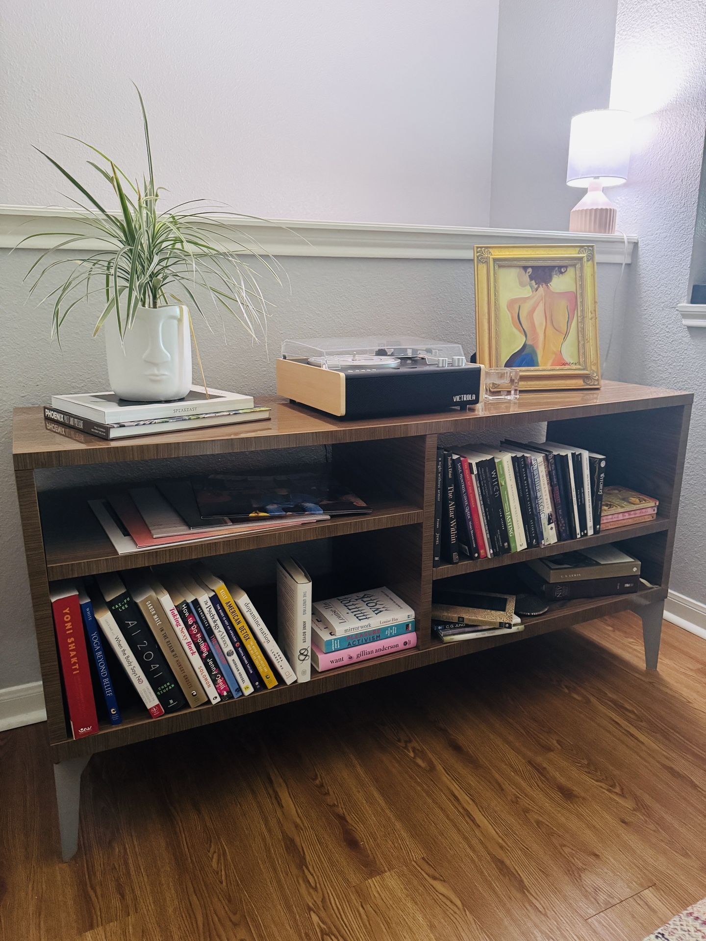 Book Shelf/TV Stand