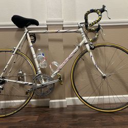 SCHWINN “ Paramount “ Series 5 PDG 14 Spd Shimano, Aluminum 