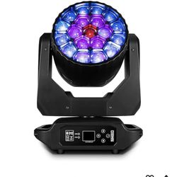 2 Shehds 19x20W Big Bee