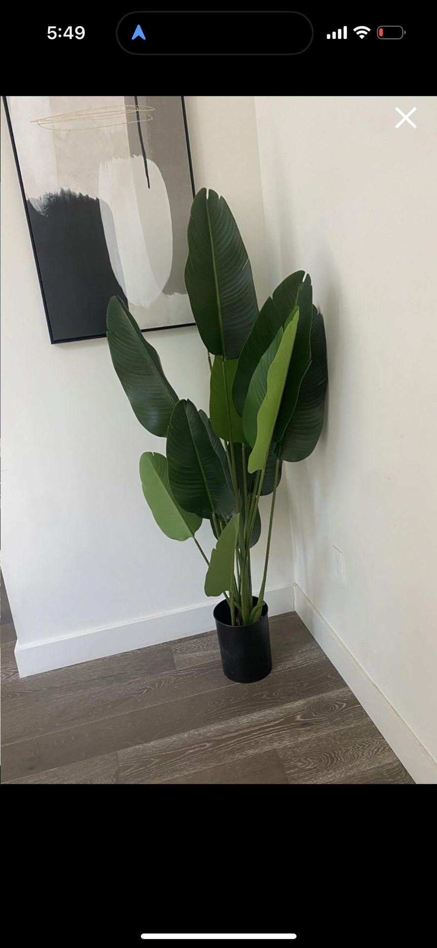 Fake Plant 4 Ft