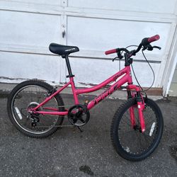 Pink Bike