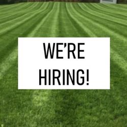 Landscaping Crew And Team Lead (Assistant Managers)