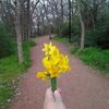 Dalia
