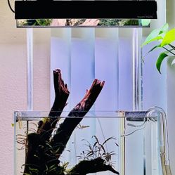 For Sale: Aquascape&Planted Aquarium with Livestock