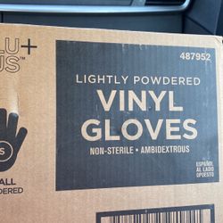 Vinyl Gloves