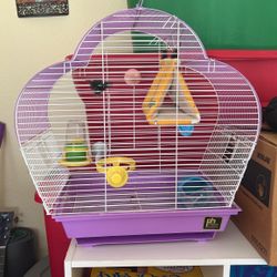 Bird Cage 